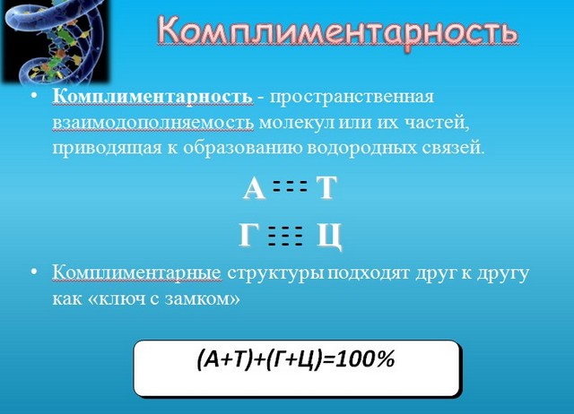 нуклеиновые кислоты презентация