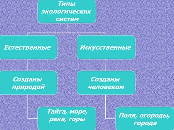 экологические сообщества, презентация экологические сообщества