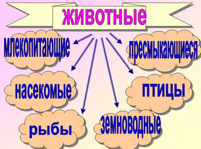 презентация к уроку окружающего мира,разнообразие животного мира,окружающий мир