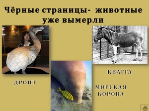 Презентация для начальной школы, окружающий мир, Красная книга России