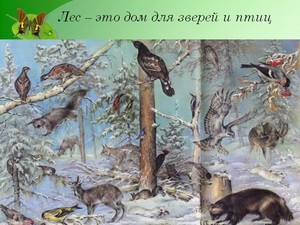 презентация к уроку окружающего мира,презентация для начальной школы,Лес-природное сообщество