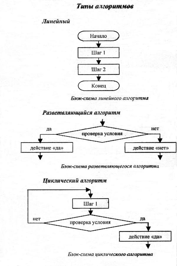 Урок информатики, определение, виды и свойства алгоритмов, основные схемы алгоритмов