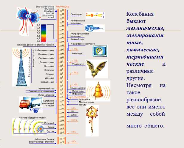 презентация по физике колебательные движения