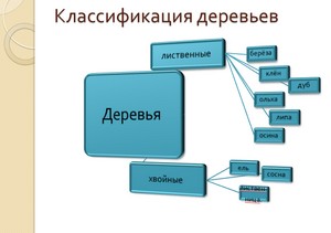 презентация к уроку окружающего мира