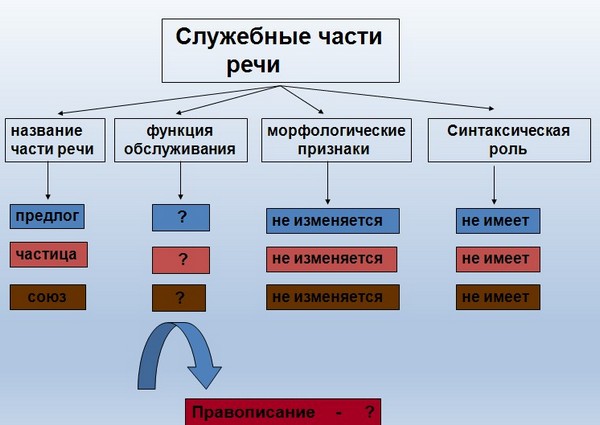 презентация морфология 11 класс