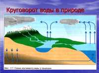 презентация по экологии, вода-основа жизни на земле