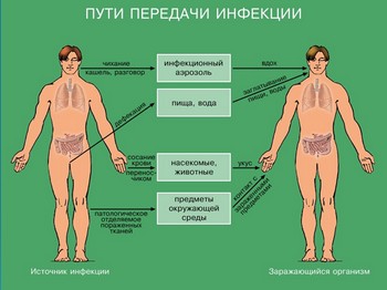 презентация по ОБЖ, инфекционные заболевания