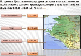 презентация по экологии, краснодарский край, животный мир