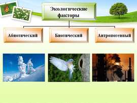 презентация по экологии, среда обитания