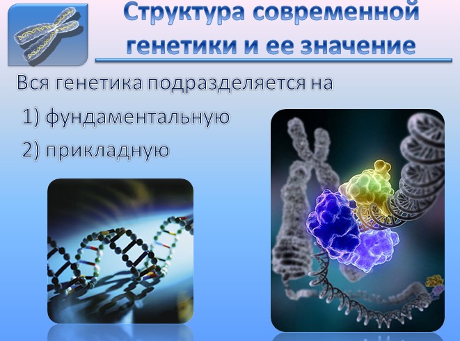 презентация по биологии, генетика