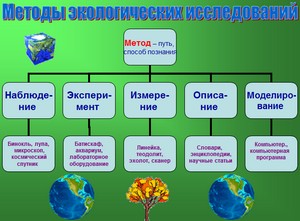 презентация по экологии, экология, наука