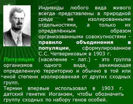 презентация по экологии, общая экология